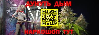 крисы Будённовск